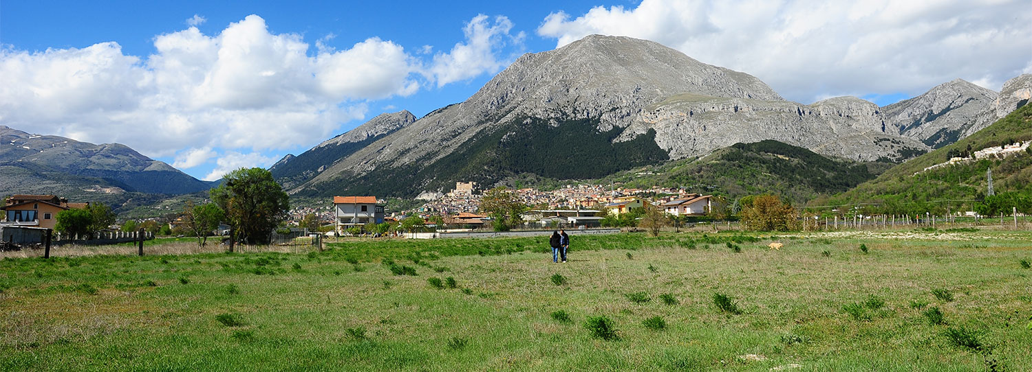 Il Miele e le Api